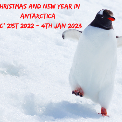 Christmas and New Year in Antarctica
